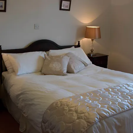 住宿加早餐酒店 Lurgan House 3*